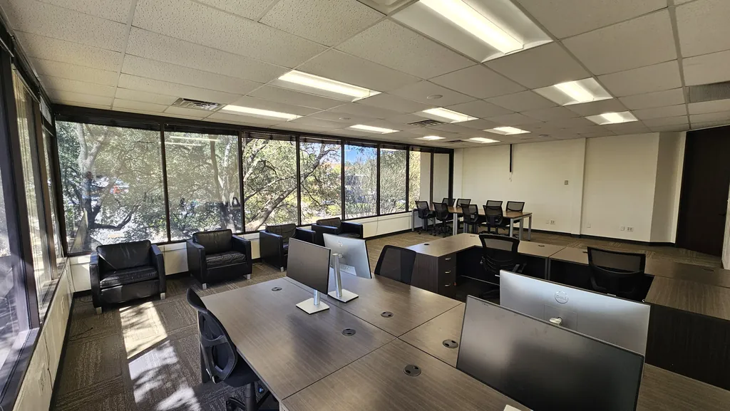 Treetop views through the Room 221 corner windows over the workstations